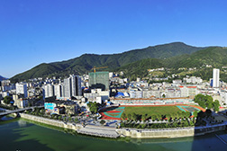 ?？稻W(wǎng)站建設