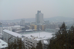 東寶網(wǎng)站建設