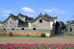 衡東網(wǎng)站建設
