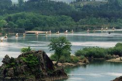 金溪網(wǎng)站建設