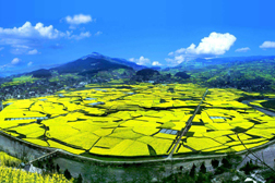 開(kāi)陽(yáng)網(wǎng)站建設(shè)