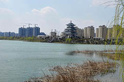 寧陽(yáng)網(wǎng)站建設(shè)