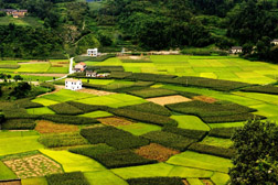 平利網(wǎng)站建設
