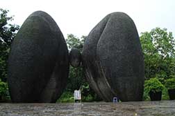 師宗網(wǎng)站建設