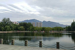 泰山網(wǎng)站建設