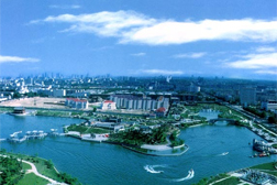新華網(wǎng)站建設