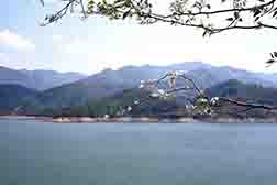 永德網(wǎng)站建設