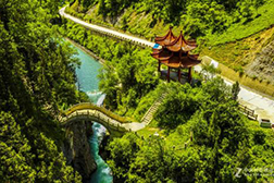 卓尼網(wǎng)站建設