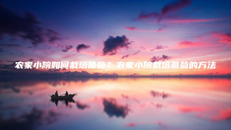 農(nóng)家小院如何栽培葡萄？農(nóng)家小院栽培葡萄的方法