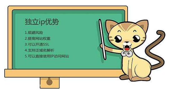 虛擬主機(jī)有獨立IP嗎？