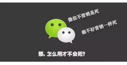教你如何微信營銷，月入6位數(shù)！ 怎么推廣自己的網(wǎng)站