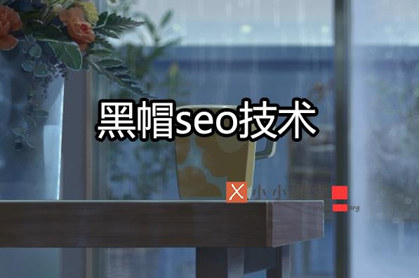 黑帽seo的網(wǎng)站有哪些特征？ 免費推廣網(wǎng)站有哪些