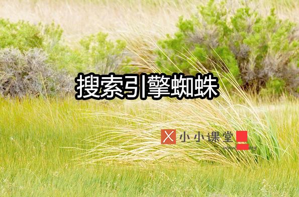 搜索引擎蜘蛛是如何爬行與抓取頁面的？ 什么是排名優(yōu)化