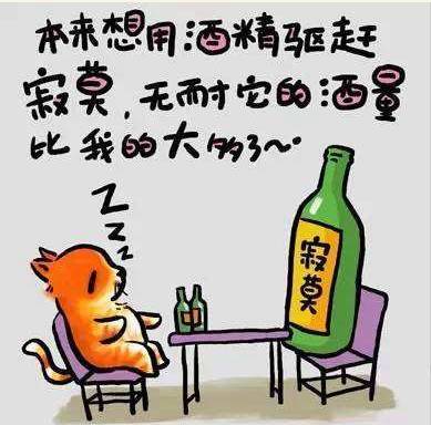 我們不能裝作很努力，得付出行動(dòng)！ 個(gè)人怎樣建網(wǎng)站