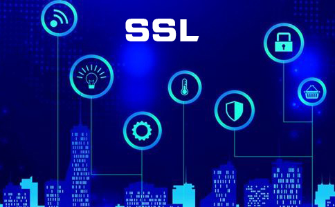 ssl網(wǎng)址安全性查詢(xún)的方法