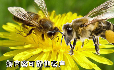 好的網(wǎng)站建設(shè)內(nèi)容可留住客戶嗎？