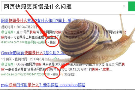 網(wǎng)頁快照更新不及時(shí)是什么問題？