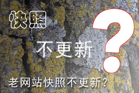 哪些因素造成老網(wǎng)站快照不更新？