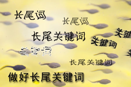 做網(wǎng)站怎樣做好長尾關(guān)鍵詞設(shè)置？