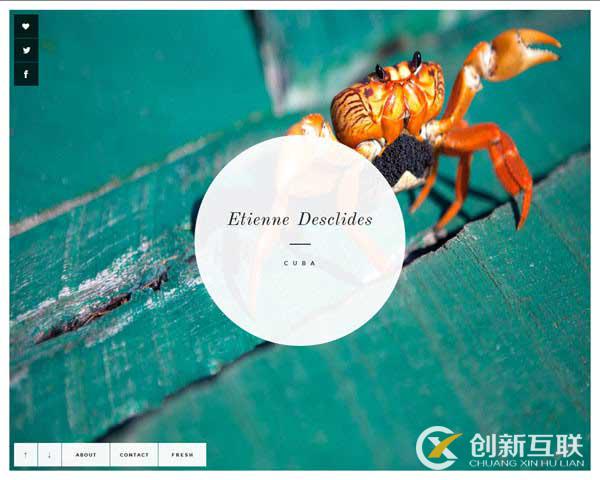 HTML5網頁設計創(chuàng)意欣賞