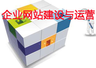 企業(yè)網(wǎng)站建設與運營